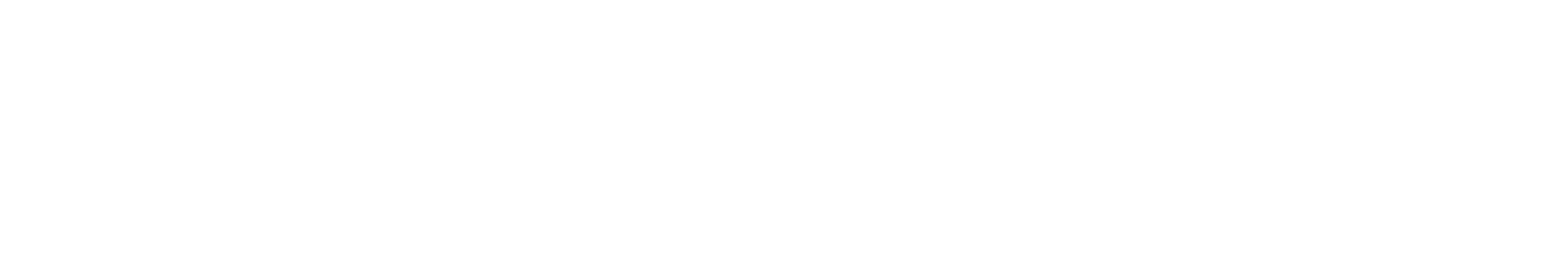 Logo Studio Baldizzone